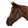 Bridon anatomique Cayman Canter