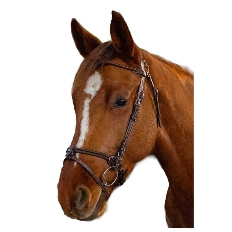 Bridon Calgary Flags&Cup