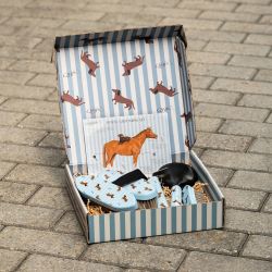 Coffret de pansage Stable Buddy QHP