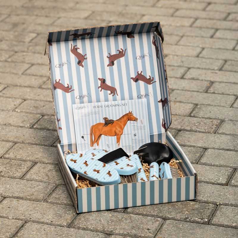 Coffret de pansage Stable Buddy QHP