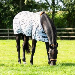 Chemise anti-mouches Stable Buddy QHP
