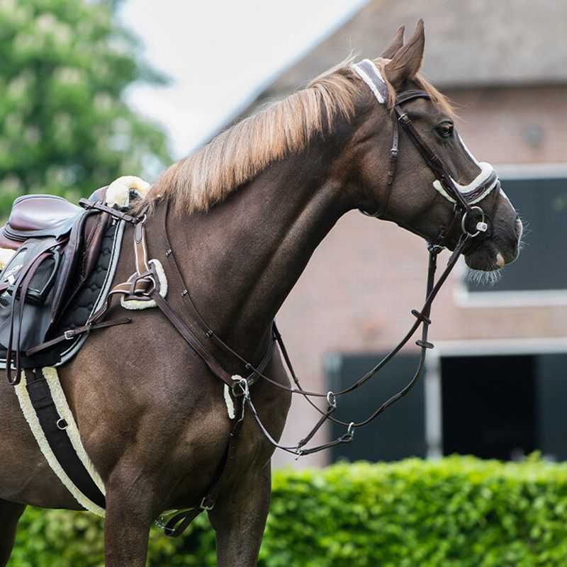 Collier de chasse Ontario QHP