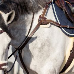 Collier de chasse Ontario QHP