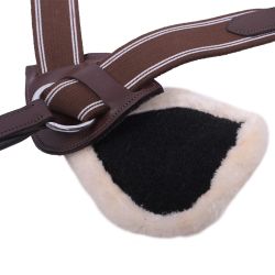 Collier de chasse Ontario QHP