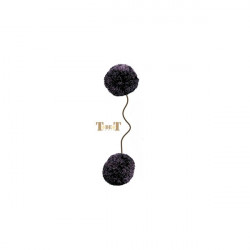 Bouchons d'oreilles