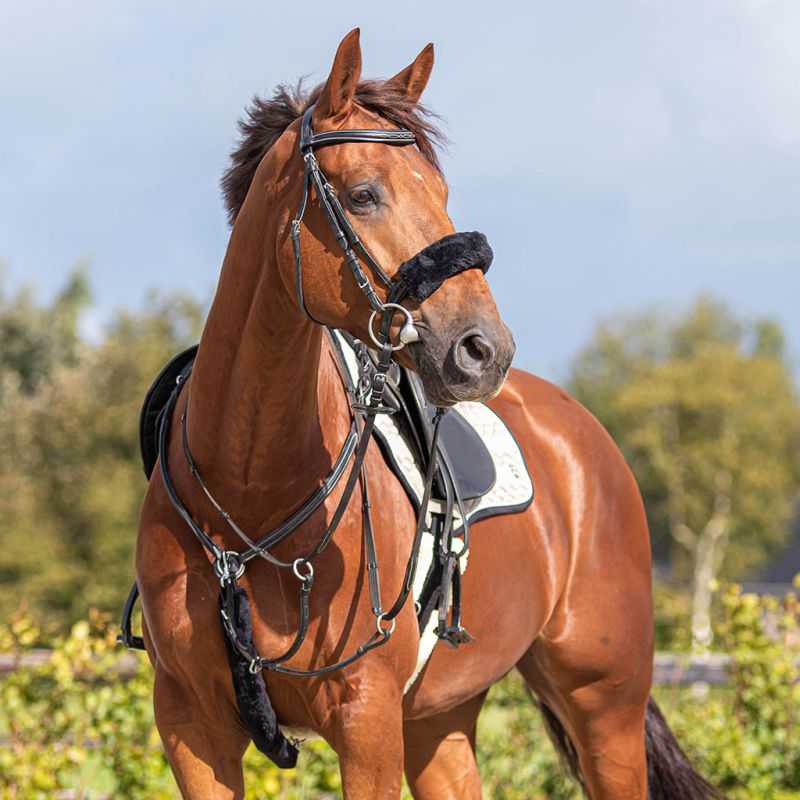 Fourreau de Bridon QHP