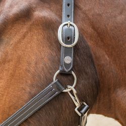 Licol corde Flags&Cup