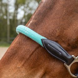 Licol corde Flags&Cup