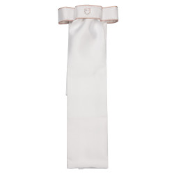 Cravate de chasse Lancelot logo Strass Equestro