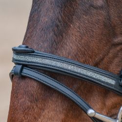 Bridon Kitsi Flags&Cup