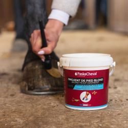 Onguent Blond 1L Paskacheval
