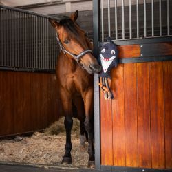 Jouet pour Chevaux Dauphin Eskadron SS26