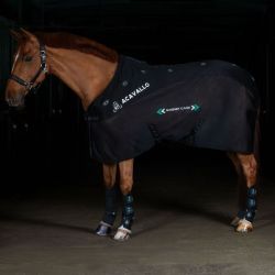 Couverture de Magnétothérapie pour chevaux Magnet Care Acavallo