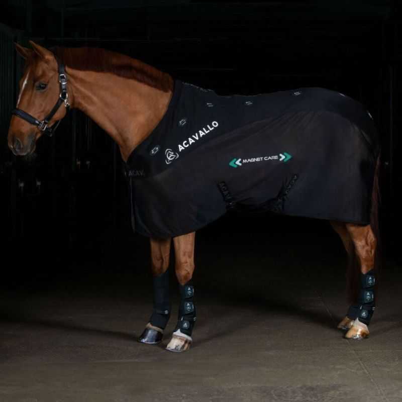 Couverture de Magnétothérapie pour chevaux Magnet Care Acavallo