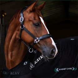 Couverture de Magnétothérapie pour chevaux Magnet Care Acavallo