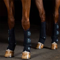 Guêtres de Magnétothérapie pour chevaux Magnet Care antérieurs Acavallo