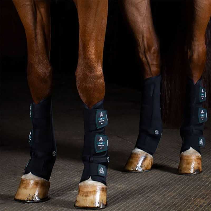 Guêtres de Magnétothérapie pour chevaux Magnet Care antérieurs Acavallo