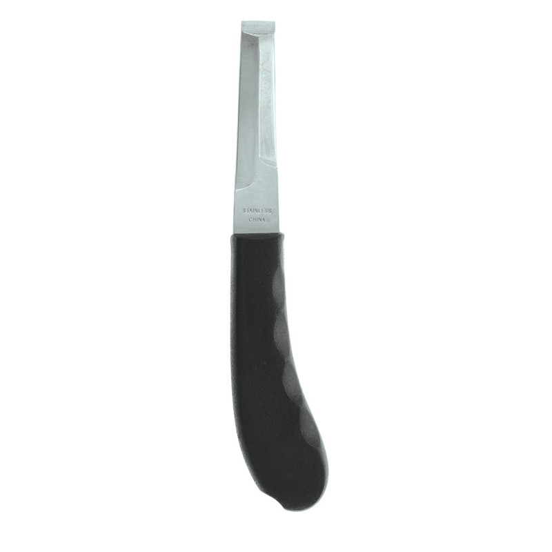 Renette avec manche en plastique Forget