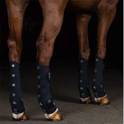 Guêtres de Magnétothérapie pour chevaux Magnet Care postérieurs Acavallo