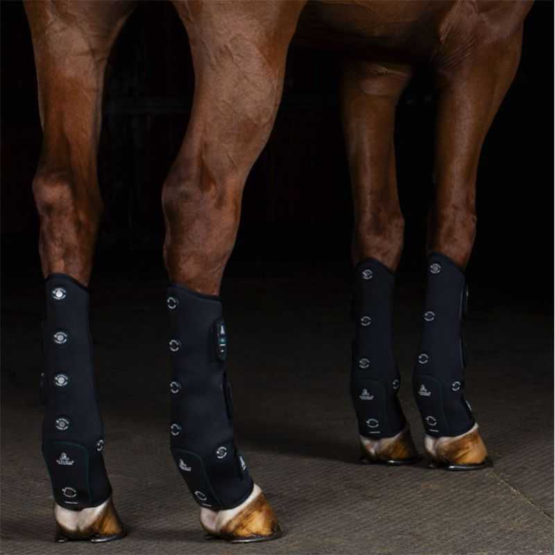 Guêtres de Magnétothérapie pour chevaux Magnet Care postérieurs Acavallo