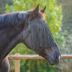 Licol de prairie avec frontal anti-mouches Q-essentials