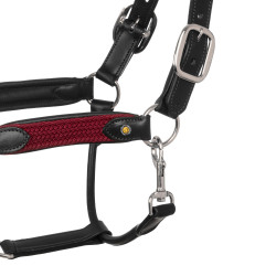 Licol en cuir et nylon tressé Equestro