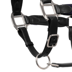 Licol en cuir et nylon tressé Equestro