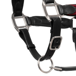 Licol en cuir et nylon tressé Equestro