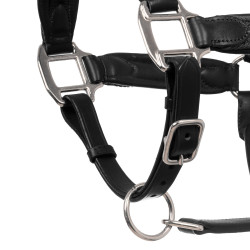 Licol en cuir et nylon tressé Equestro