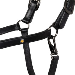 Licol en cuir anatomique Diamond Equestro