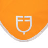 Bonnet anti-mouches GP Equestro
