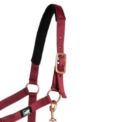 Ensemble licol et longe Rose Gold Supreme