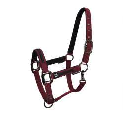Licol nylon doublé Élégance Equestro