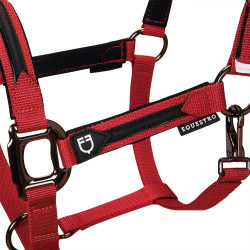Licol nylon doublé Élégance Equestro