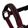 Licol nylon doublé Élégance Equestro