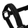 Licol nylon doublé Élégance Equestro