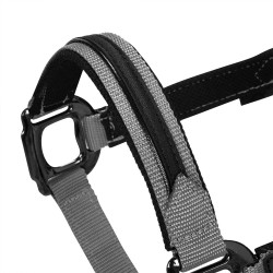 Licol nylon doublé Élégance Equestro