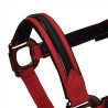 Licol nylon doublé Élégance Equestro