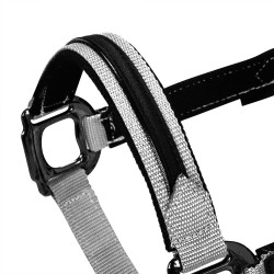 Licol nylon doublé Élégance Equestro