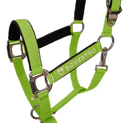 Licol nylon Shiny Fittings avec longe Equestro