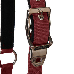 Licol nylon Shiny Fittings avec longe Equestro