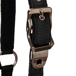 Licol nylon Shiny Fittings avec longe Equestro