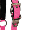 Licol nylon Shiny Fittings avec longe Equestro