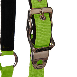 Licol nylon Shiny Fittings avec longe Equestro