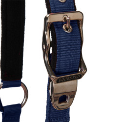 Licol nylon Shiny Fittings avec longe Equestro