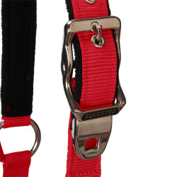Licol nylon Shiny Fittings avec longe Equestro