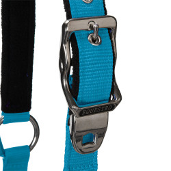 Licol nylon Shiny Fittings avec longe Equestro