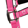 Licol nylon Shiny Fittings avec longe Equestro