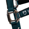 Licol nylon Shiny Fittings avec longe Equestro