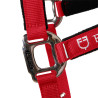 Licol nylon Shiny Fittings avec longe Equestro